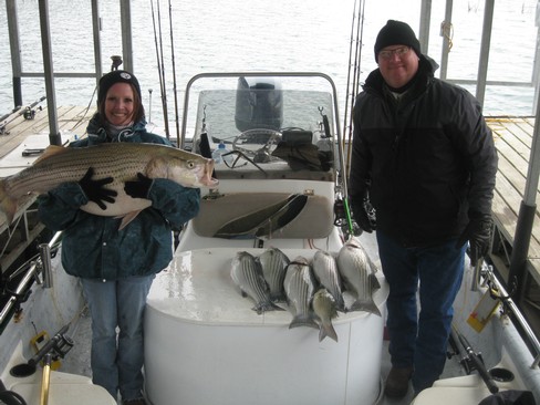 Nice Striped Bass